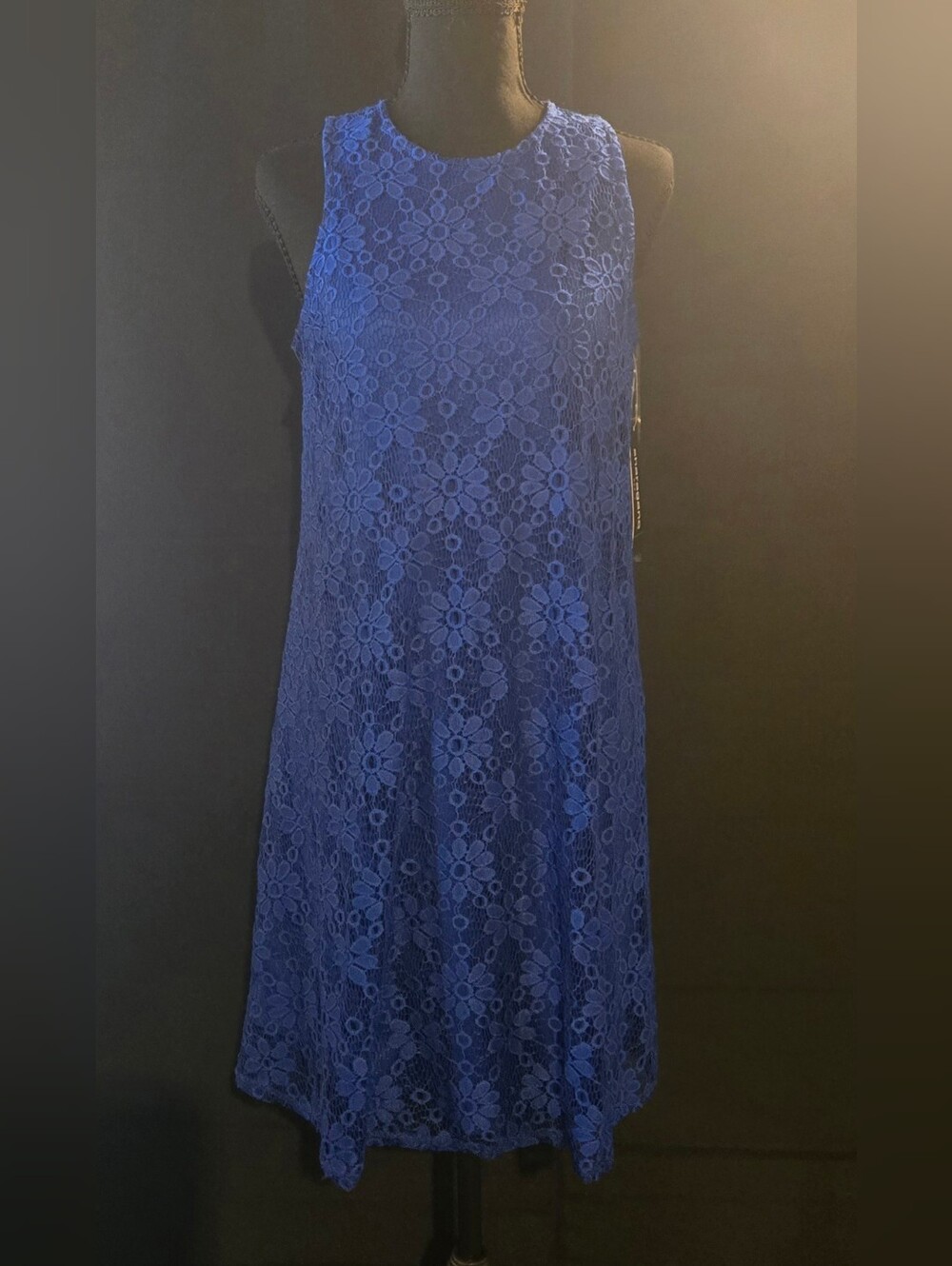 Sharagano Royal Blue Floral Lace Sleeveless Mini Dress